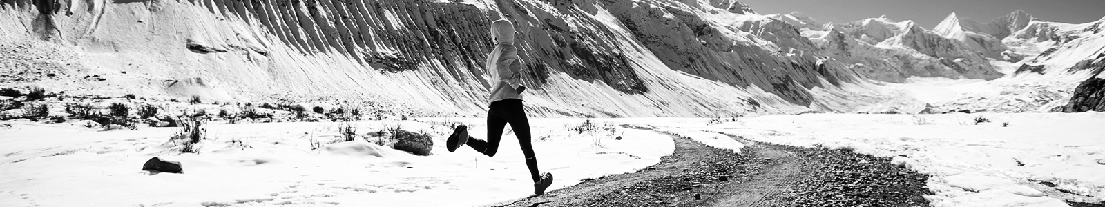 1600x300_topbillede Biofrost 1600x300px